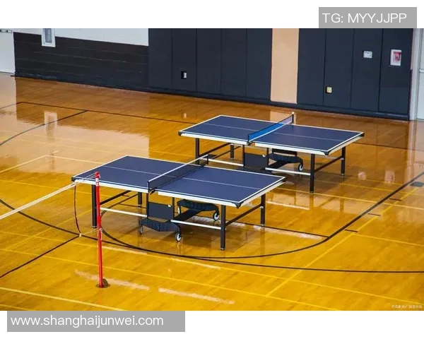 乒乓球的艺术与科学:深入探讨杭州乒乓球队的战术与控制技巧 乒乓球的艺术与科学:深入探讨杭州乒乓球队的战术与控制技巧