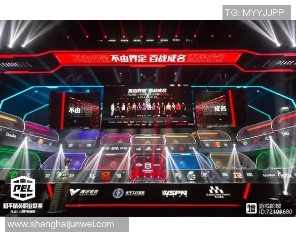 和平精英深度剖析TES战队的战术控制与团队协作策略